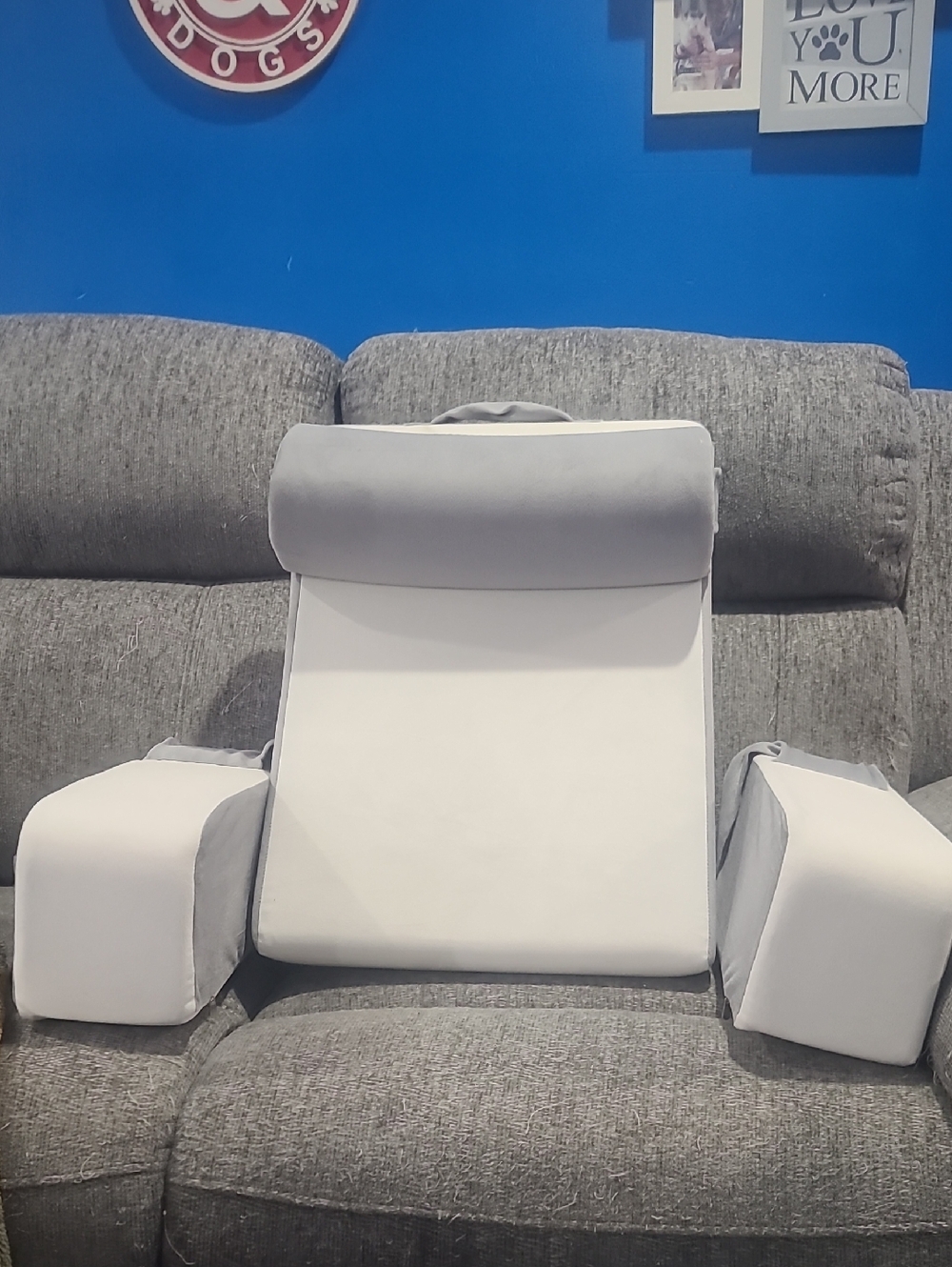 Source Unknown Gray and White VR Comfort Support Set